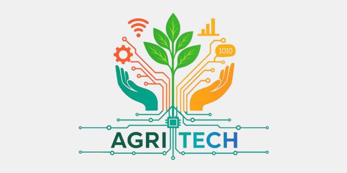 Lower Guadalquivir – Processing Tomato (IFAPA Chipiona Centre)