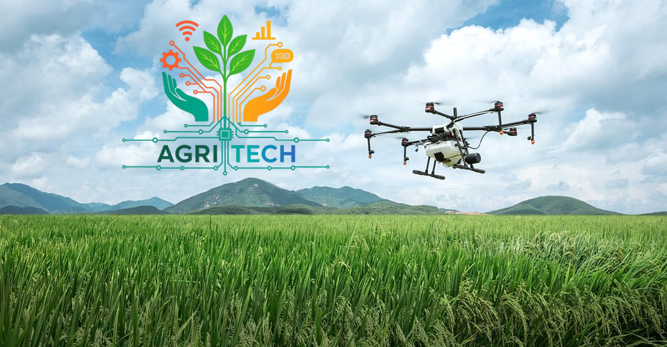 frutoeste-product-traceability-software