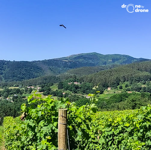 drone-monitoring-over-txakoli-vineyards