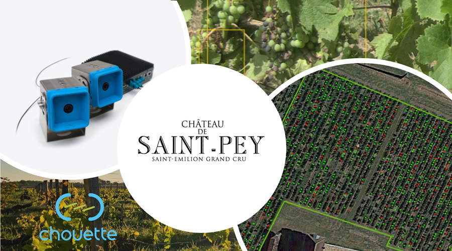 vineyard-health-monitoring-and-precision-spraying-at-chateau-de-saint-pey